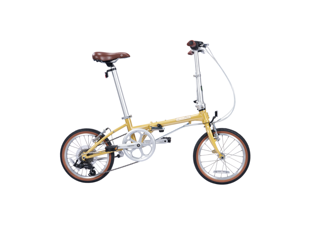 Boardwalkd_1.png?v=1754018674& Boardwalkd_1.png?v=1754018674&